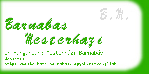 barnabas mesterhazi business card