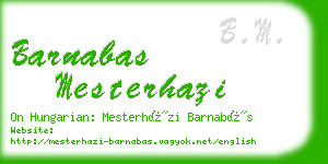 barnabas mesterhazi business card